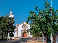 Moreras en la Plaza de la Iglesia en la Cala del Moral